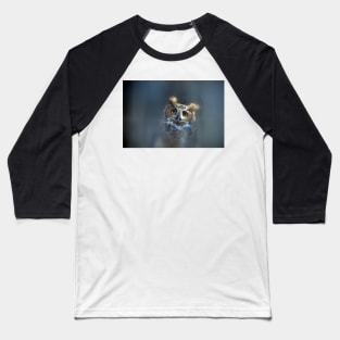 Great Horned owl Baseball T-Shirt